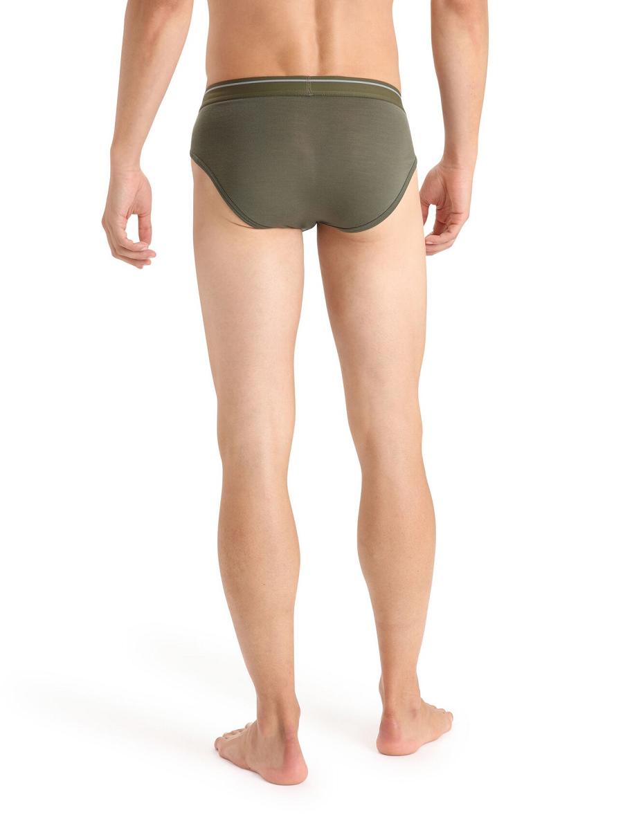 Men's Icebreaker Merino Anatomica Briefs Underwear Loden | CA 1650RVDW